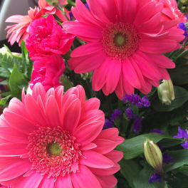 Bright pink gerbera daisies with purple filler flowers in a bouquet