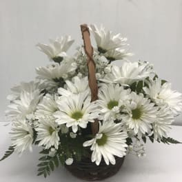 White daisy bouquet in a woven basket with a handle