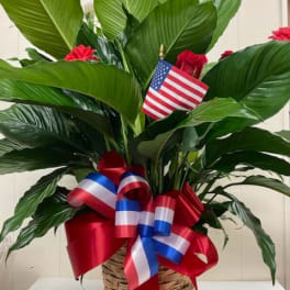 Potted green plant with red, white, and blue ribbons and a small American flag