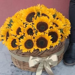 Basket of bright yellow sunflowers with a ribbon bow
