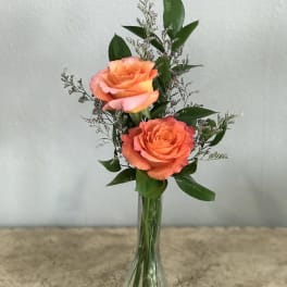 Two orange roses in a clear glass vase with greenery