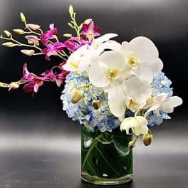 White orchids and blue hydrangeas in a glass vase with magenta orchid sprays