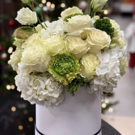 White roses and hydrangeas in a round white box