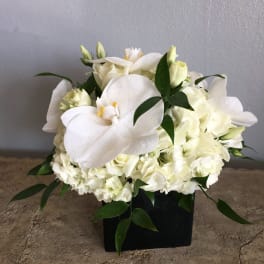 White floral arrangement with calla lilies and hydrangeas in a black container