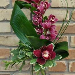 Purple orchids arranged in a tall glass vase with broad green leaves