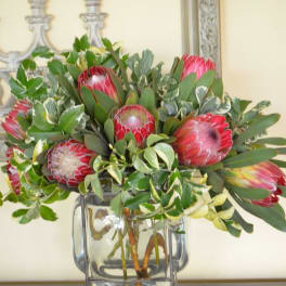 Protea arrangement in a clear glass vase