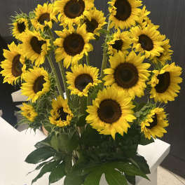 Tall arrangement of bright yellow sunflowers with dark centers in a white rectangular vase