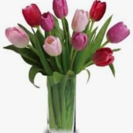 Bouquet of multicolored tulips in a clear glass vase