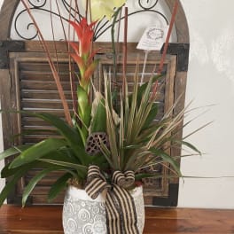 Tropical orchid and bromeliad arrangement in a patterned pot with ribbon