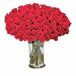 Large arrangement of red roses tightly packed in a tall clear glass vase