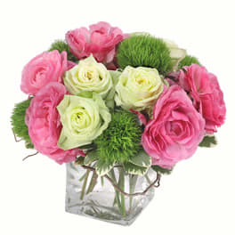 Pink and white roses in a clear square vase