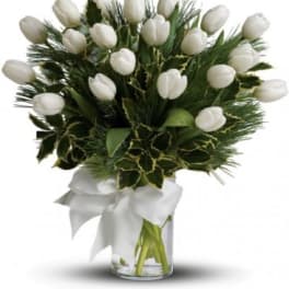 Arrangement of white tulips with pine and holly in a glass vase with a white bow