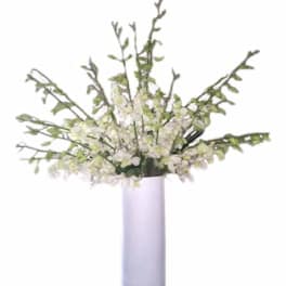 Elegantly Yours with white orchids flowers stems, arranged in a vase. Arranged in a glass square vase or cylinder vase.