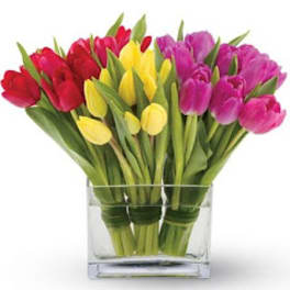 Bouquet of red, yellow, and pink tulips in a clear glass vase
