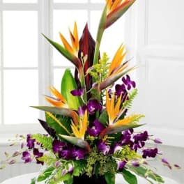 Tall tropical arrangement with orange bird of paradise and purple orchids in a black vase