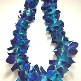 Blue and teal dendrobium orchid lei arranged in a loose oval on a white surface