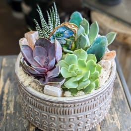 Succulent arrangement in a decorative ceramic pot
