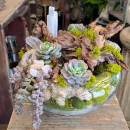 Succulent arrangement in a glass bowl with driftwood and moss