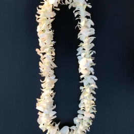 White orchid flower lei arranged in a loop on a dark background