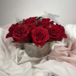 Red roses arranged in a small silver vase