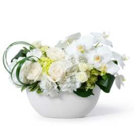 Low white bowl of white roses, orchids, and hydrangeas with decorative green looped foliage