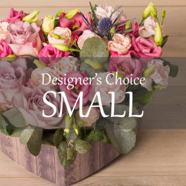 Designer's Choice- Small