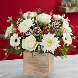 White roses and daisies in a wooden box with pinecones and red berries