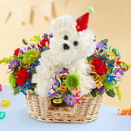 White flower teddy bear in a wicker basket with colorful ribbon streamers