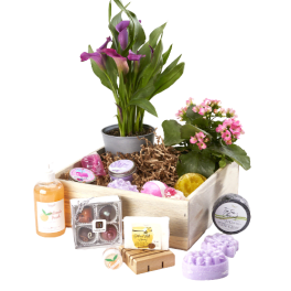 Gift basket with potted flowers, bath items, and chocolates