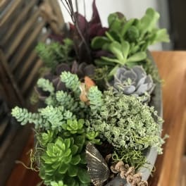Potted succulent arrangement in a gray container with mixed green and purple plants