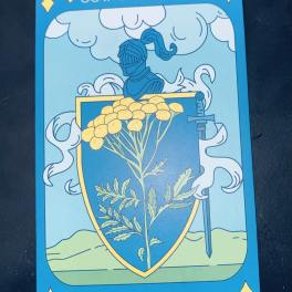 Illustrated tansy card with a shield and knight helmet