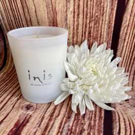 White candle in a frosted glass holder beside a white chrysanthemum bloom