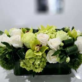 White roses and green orchids in a low rectangular vase