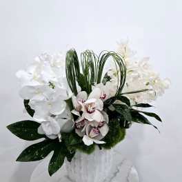 White orchid arrangement in a white vase with green foliage
