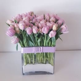 Pink tulips arranged in a clear square vase with a lavender ribbon