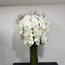 White orchid arrangement in a tall glass vase