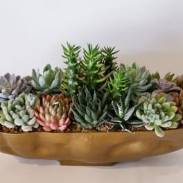 Succulent arrangement in a gold bowl planter