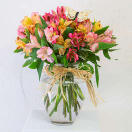 Bouquet of pink and yellow alstroemeria in a glass vase with a butterfly pick