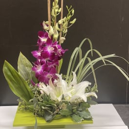 Purple and white orchids arranged in a low green container