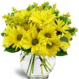 Yellow daisy bouquet in a clear glass vase