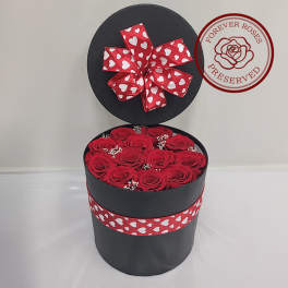 Red Secret Preserved Box - OCF