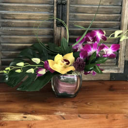 Tropical orchid arrangement in a clear glass vase
