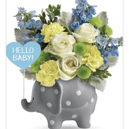 Teleflora new baby Elephant