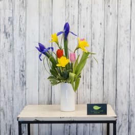 Colorful tulips and irises arranged in a white vase