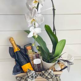 White orchid plant in a pot with champagne and chocolates in a gift basket