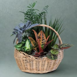 Gathered Greens Basket