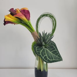Calla lilies in a glass vase with a looped green accent and succulent foliage