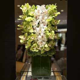 Green and white orchid arrangement in a tall glass vase
