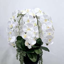 White orchids arranged in a black vase with trailing greenery