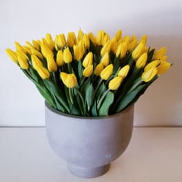 Yellow tulips arranged in a gray vase